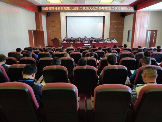 坚定信心勇担当 共克时艰绘蓝图  -云南省精神病医院召开第十一届工会委员会暨第九届职工代表大会2019年第二次专题职代会   