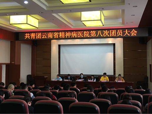 共青团云南省精神病医院第八次团员大会顺利召开
