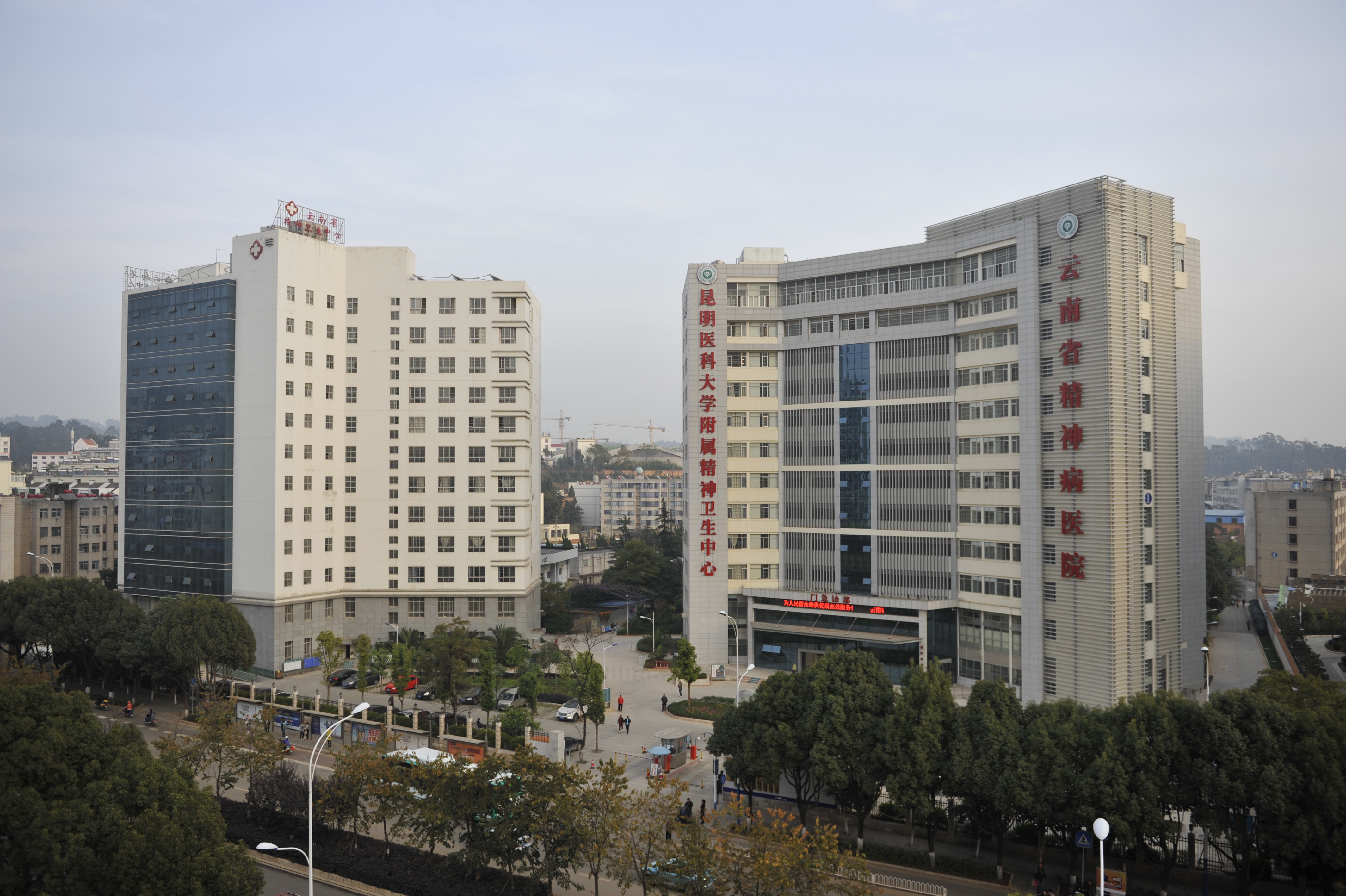 云南省精神病医院2020年昆明市科研课题结题会圆满结束