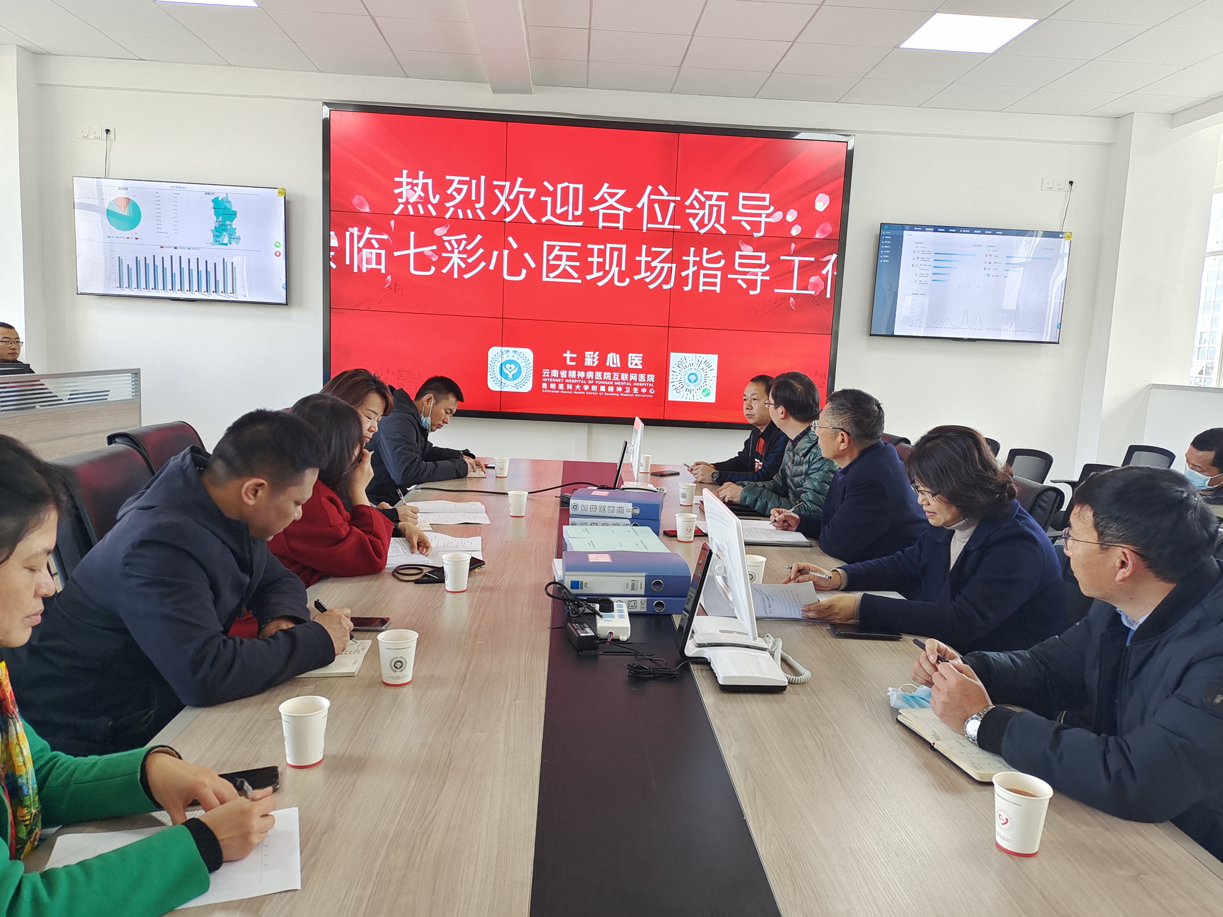 云南省精神病医院互联网医院（七彩心医）建设通过阶段性评审