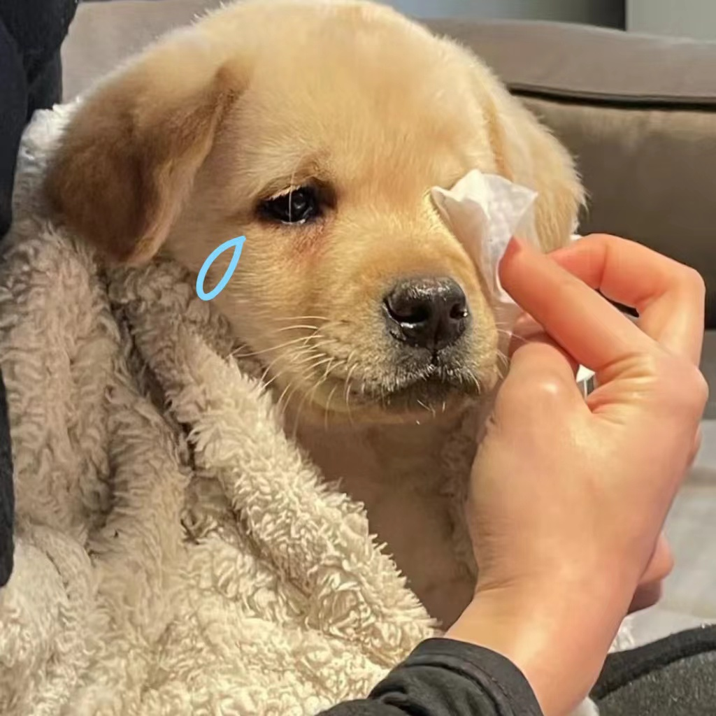 天冷了，你的心是否更冷了