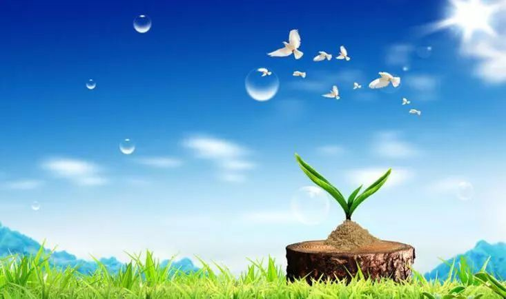 健康与心理健康