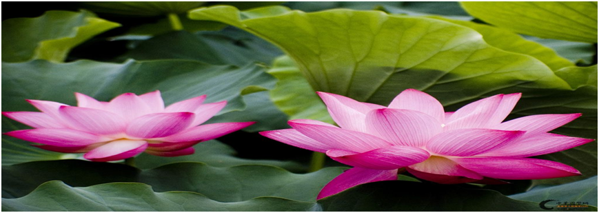 如何正确认识更年期女性抑郁