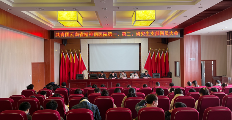 薪火相传，青春接力——中国共产主义青年团云南省精神病医院第一、第二、研究生支部委员会委员换届选举团员大会顺利召开