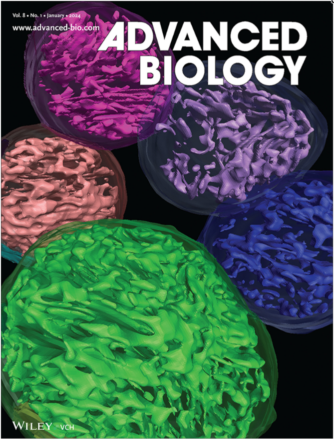我院在读研究生张盈盈成功发表sci论文