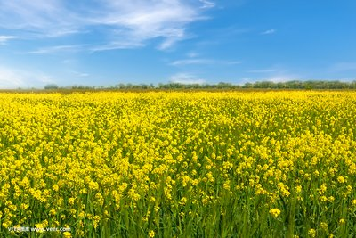 春季是心理精神疾病的高发季吗？