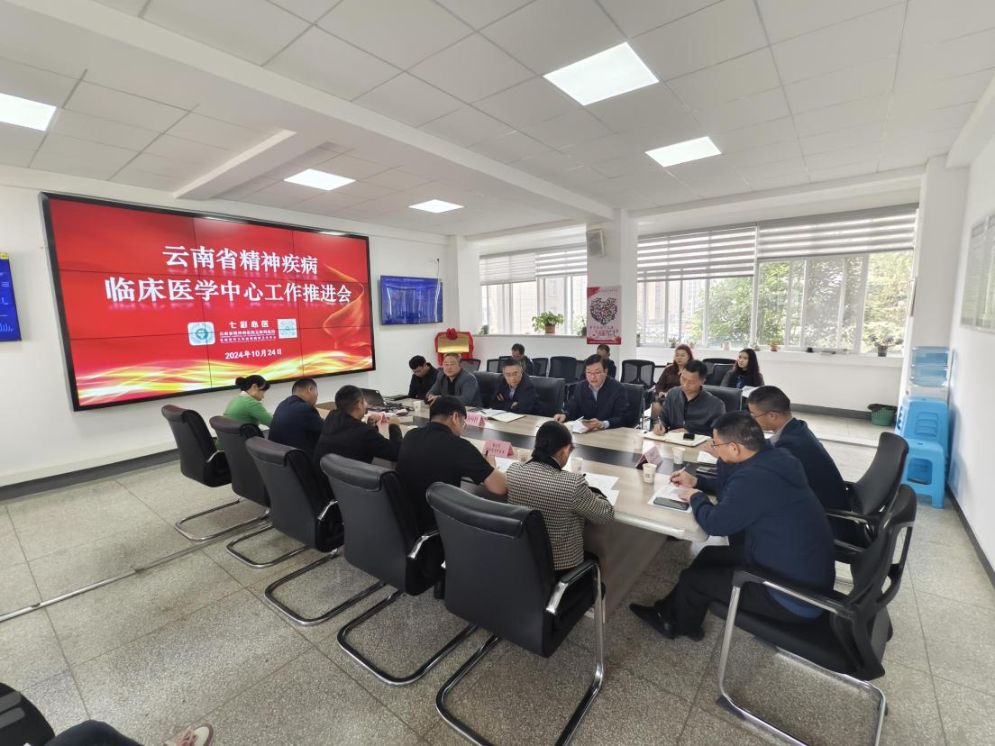 云南省精神疾病临床医学中心工作推进会简讯