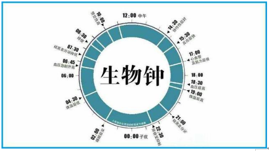生物钟与睡眠有什么关系？